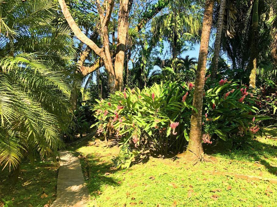 Villa Del Idaan Bocas Town Exterior foto