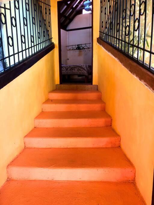 Villa Del Idaan Bocas Town Exterior foto
