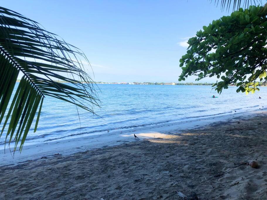 Villa Del Idaan Bocas Town Exterior foto